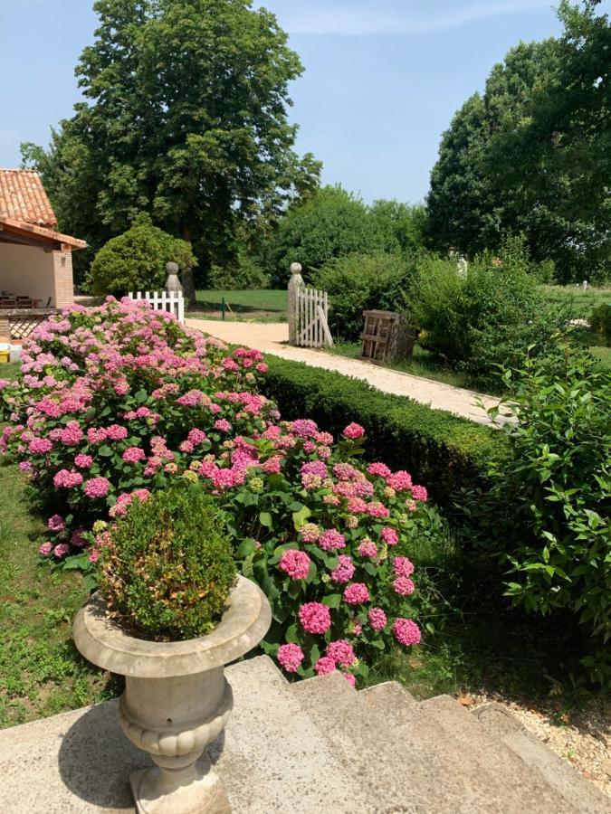 Chambre D'Hotes Et Table D'Hotes Domaine De La Terrasse Sas Et Gite Anda Montauban Lacourt-Saint-Pierre Экстерьер фото